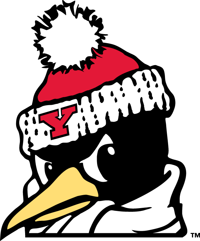 Youngstown State Penguins 1993-Pres Alternate Logo v6 DIY iron on transfer (heat transfer)